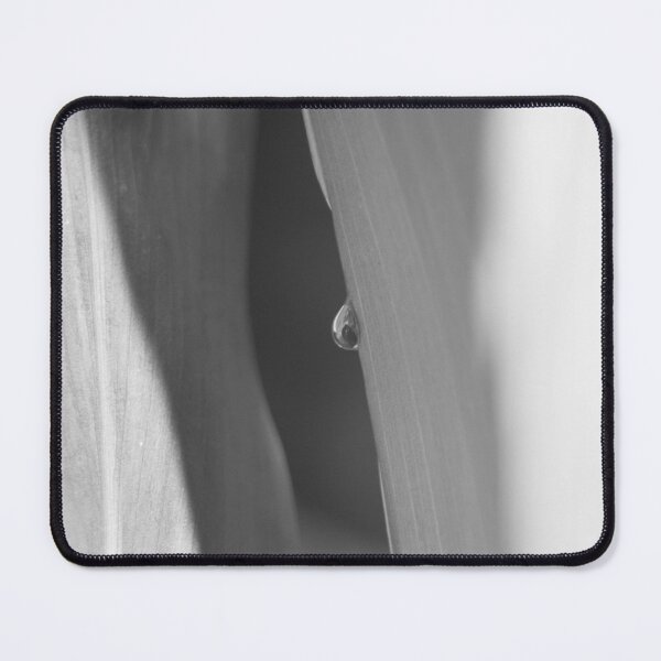 Item preview, B&W - Dew Drop designed and sold by ROSE ANN BANILAR.