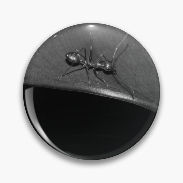 Item preview, B&W - Weaver Ant along the Edge designed and sold by ROSE ANN BANILAR.