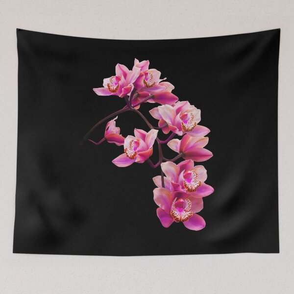 Item preview, Exquisite Elegant Pink Cymbidium Orchid Cascade on Black Shapes Mania designed and sold by Shapes-Mania.