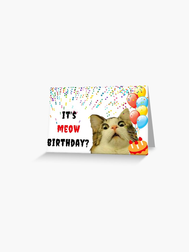 Meme Happy Birthday Crazy Eyed Cat Crazy Cat Lady Edible Cake Topper I – A  Birthday Place
