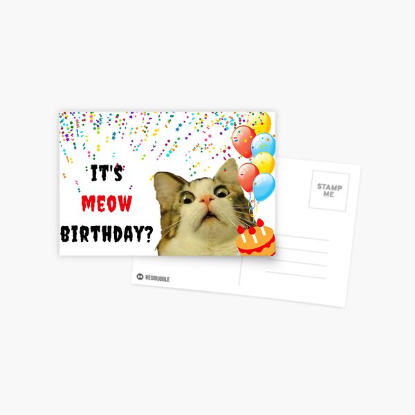 Carte Postale Chats Dans La Boite Carte D Anniversaire De Chat Carte D Anniversaire De Dame De Chat Cartes De Voeux Meme Par Avit1 Redbubble