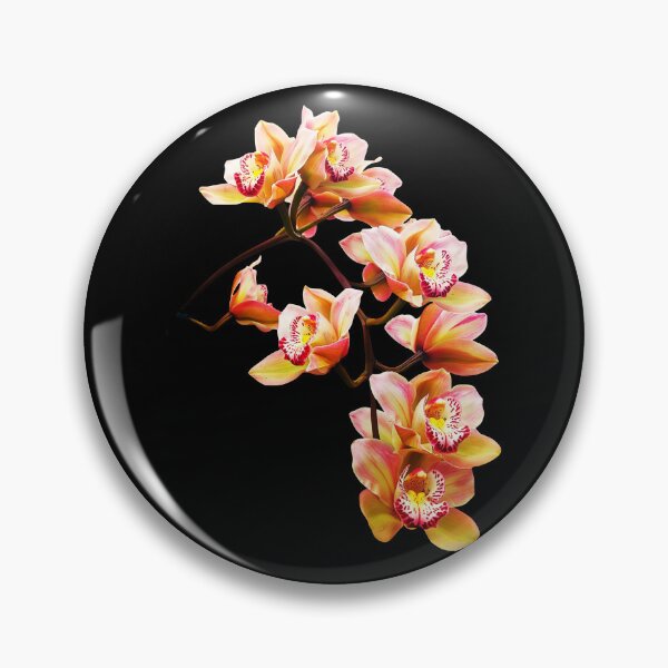 Item preview, Exquisite Elegant Yellow and Red Cymbidium Orchid Cascade on Black Shapes Mania designed and sold by Shapes-Mania.