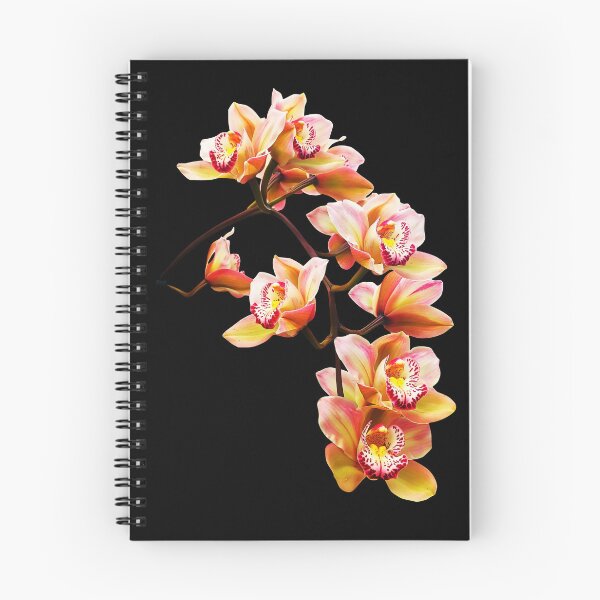 Item preview, Exquisite Elegant Yellow and Red Cymbidium Orchid Cascade on Black Shapes Mania designed and sold by Shapes-Mania.