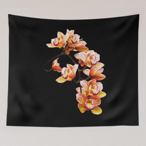 Item preview, Exquisite Elegant Yellow and Red Cymbidium Orchid Cascade on Black Shapes Mania designed and sold by Shapes-Mania.