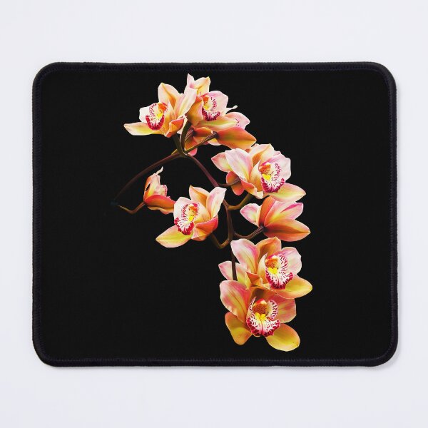Item preview, Exquisite Elegant Yellow and Red Cymbidium Orchid Cascade on Black Shapes Mania designed and sold by Shapes-Mania.