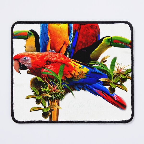 Item preview, Birds Of Costa Rica designed and sold by stacychey.