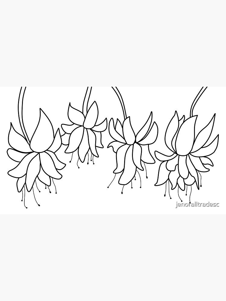 Botanical Line Art Digitized Drawing by jenofalltradesc