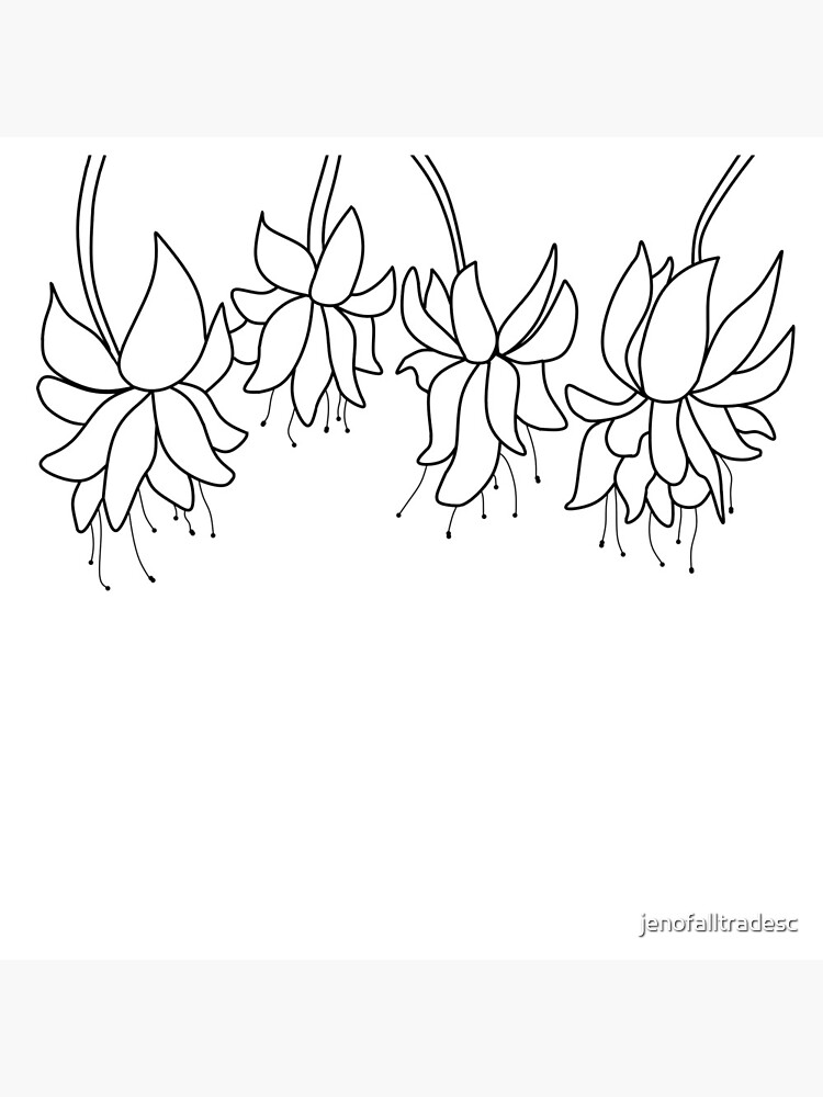 Botanical Line Art Digitized Drawing by jenofalltradesc