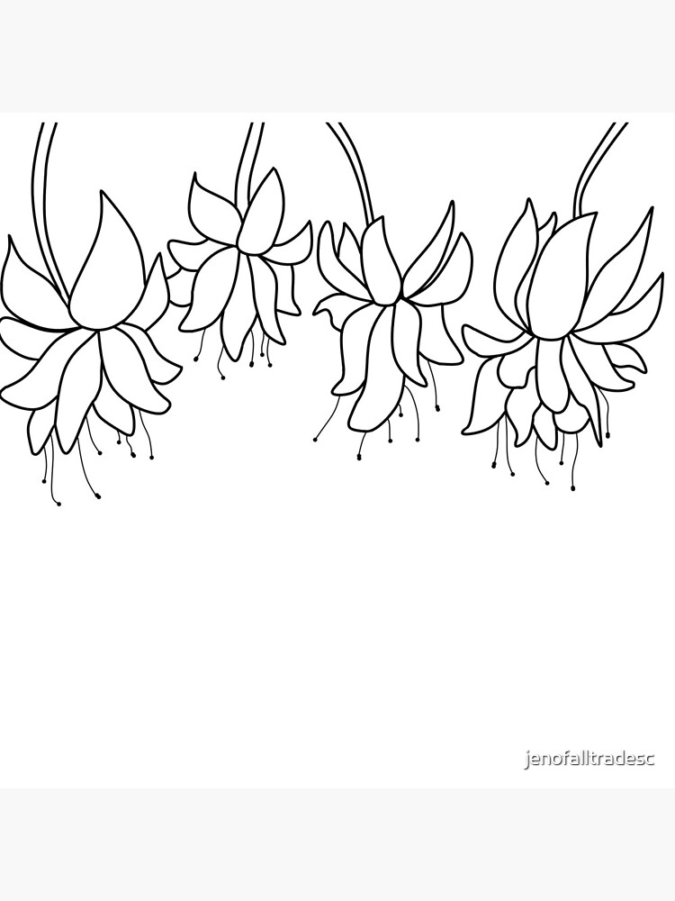 Botanical Line Art Digitized Drawing by jenofalltradesc
