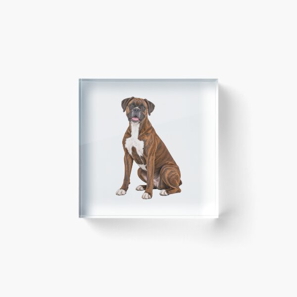 Item preview, Boxer dog Brindle designed and sold by BackgroundND.