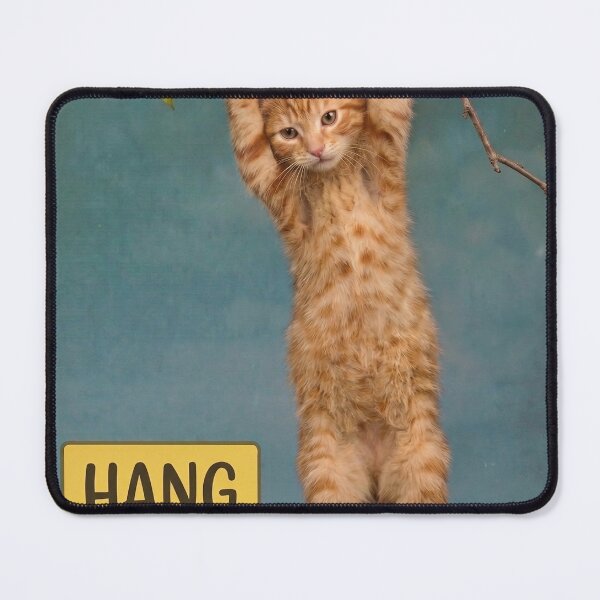 Item preview, hang in there pussy designed and sold by deadeocaro.
