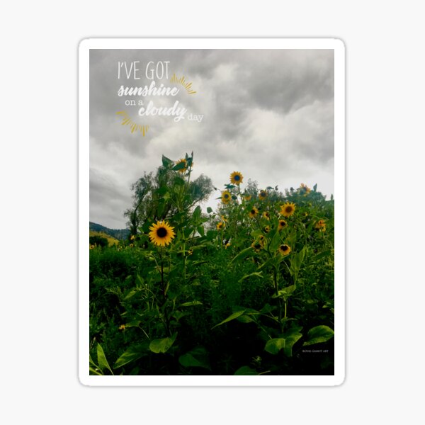 Sunshine On a Cloudy Day Sticker