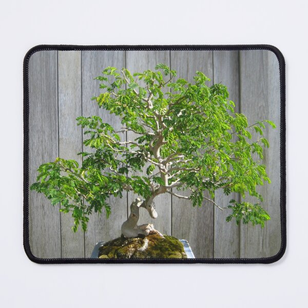 Item preview, Bonsai Tree with Gray Fence designed and sold by JoyousArt4u.
