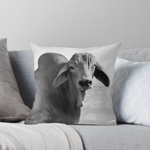 Item preview, CATTLE COUNTRY, FOR THOSE LOVERS OF THE BEAUTIFULL BRAHMAN CATTLE designed and sold by Barbara Jean Photo Art And Design.