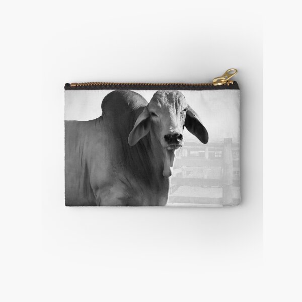 Item preview, CATTLE COUNTRY, FOR THOSE LOVERS OF THE BEAUTIFULL BRAHMAN CATTLE designed and sold by Barbara Jean Photo Art And Design.