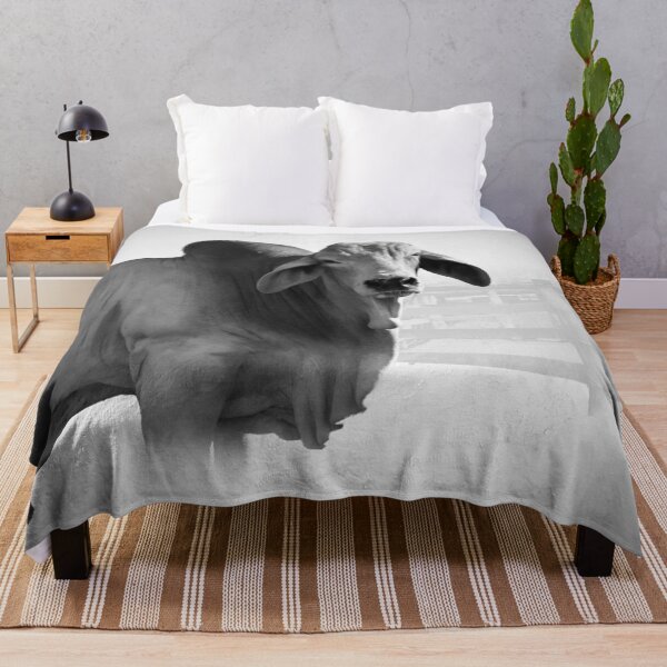 Item preview, CATTLE COUNTRY, FOR THOSE LOVERS OF THE BEAUTIFULL BRAHMAN CATTLE designed and sold by Barbara Jean Photo Art And Design.