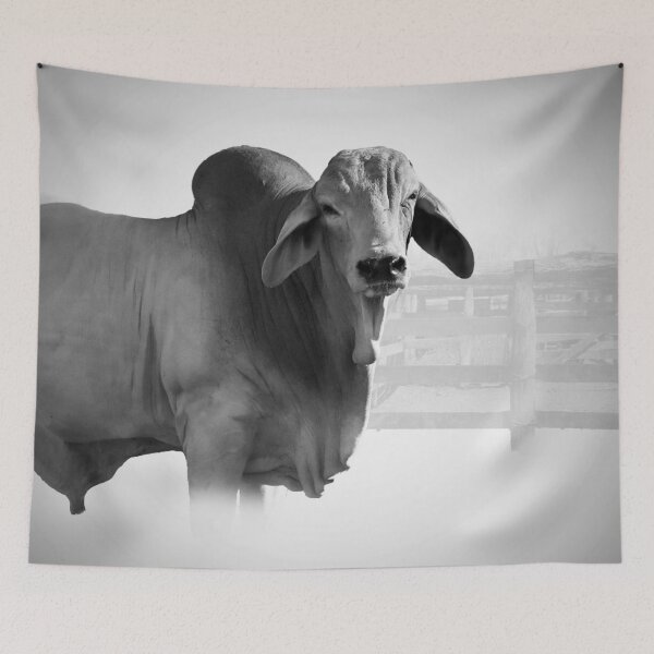 Item preview, CATTLE COUNTRY, FOR THOSE LOVERS OF THE BEAUTIFULL BRAHMAN CATTLE designed and sold by Barbara Jean Photo Art And Design.