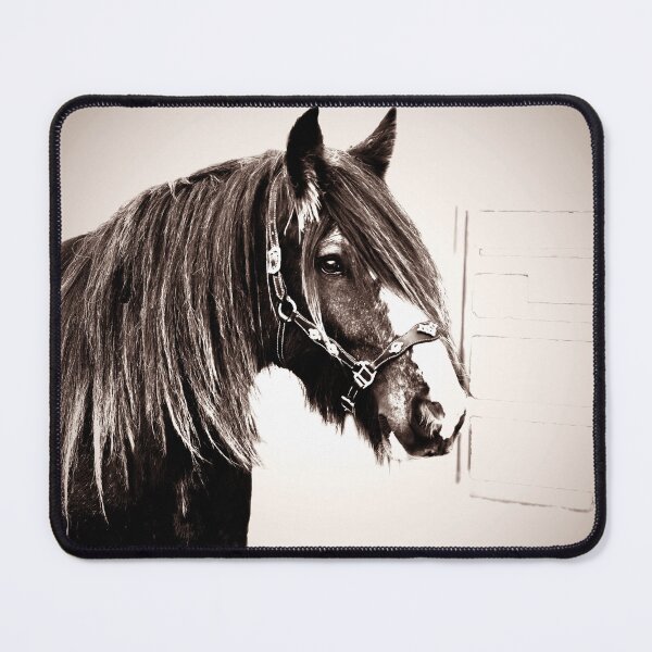 Item preview, HEAVY HORSE, ART FOR WALL AND HOME DECOR designed and sold by Barbara Jean Photo Art And Design.