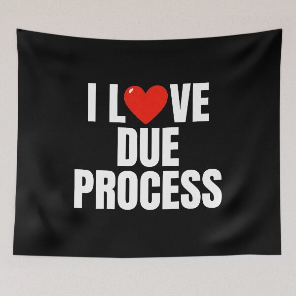 Item preview, I love due process designed and sold by Dondonmart.