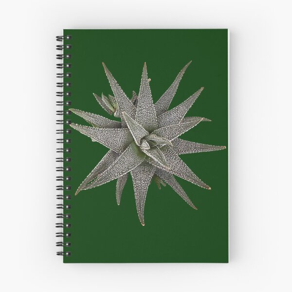 Item preview, Gasterhaworthia 'Hippo' Succulent Cutout - Starburst Plan designed and sold by BalkanBloomArt.