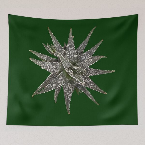 Item preview, Gasterhaworthia 'Hippo' Succulent Cutout - Starburst Plan designed and sold by BalkanBloomArt.