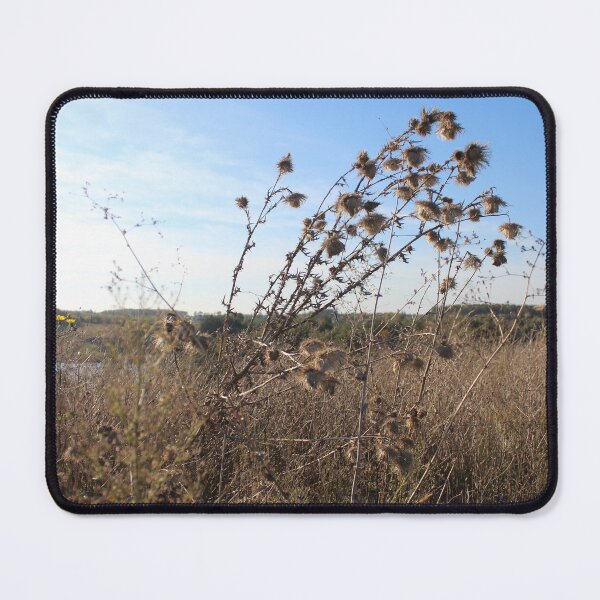 Item preview, End of Summer  designed and sold by Saint Arts Studio.