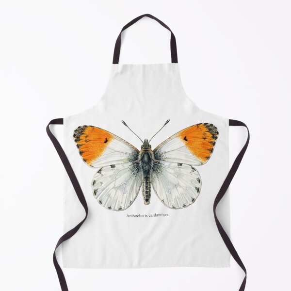 Item preview, The Uric Acid Diplomat: Anthocharis Cardamines Botanical Insect Art Print designed and sold by FreiherrPK.