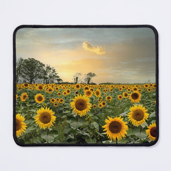Item preview, field of sunflowers designed and sold by kathleenjean.