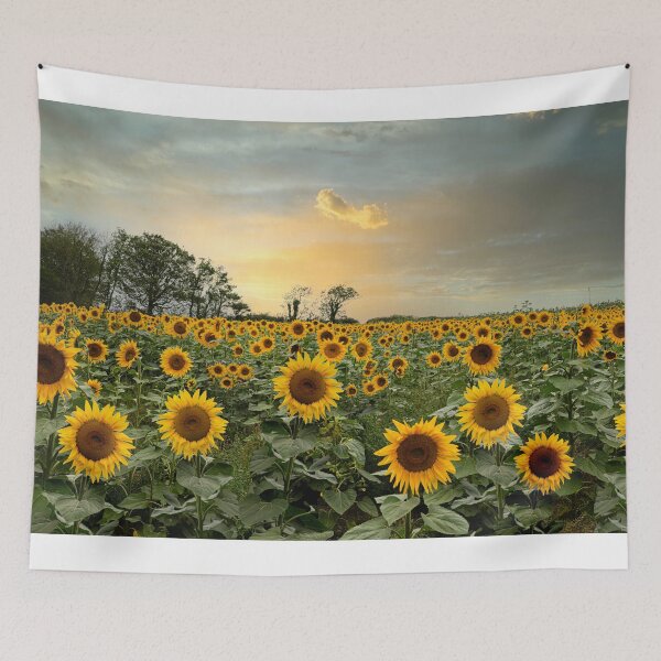 Item preview, field of sunflowers designed and sold by kathleenjean.