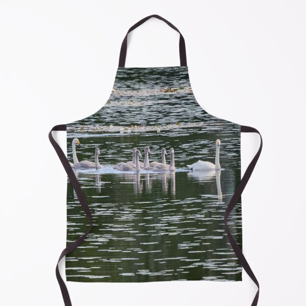 Item preview, Toda la familia. Cisne cantor designed and sold by Jouko Lehto Photography.