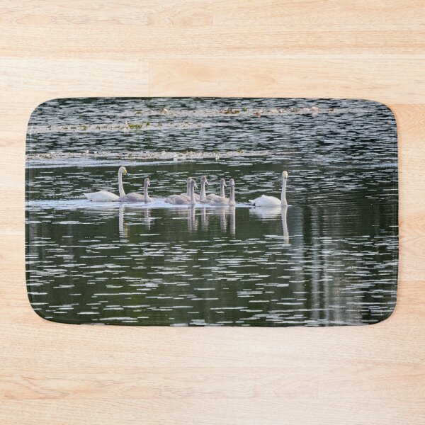 Item preview, All the family. Whooper swan designed and sold by Jouko Lehto Photography.