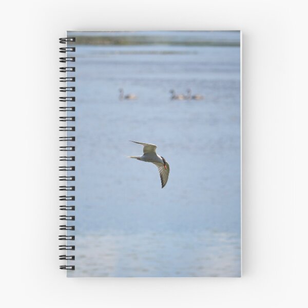 Item preview, Fishing. Common Tern designed and sold by Jouko Lehto Photography.