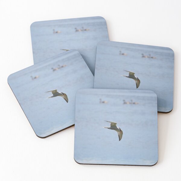 Item preview, Fishing. Common Tern designed and sold by Jouko Lehto Photography.