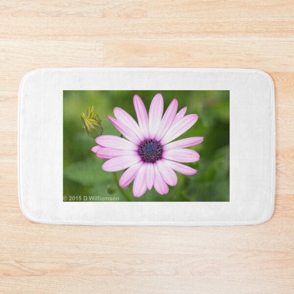 Item preview, Osteospermum Flower designed and sold by Stingray.