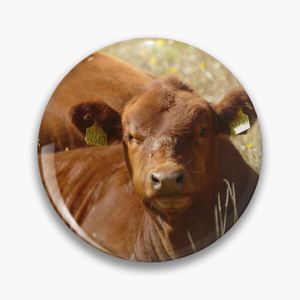 Item preview, Brown Calf in Flowering Meadow, Normandy France – French Countryside Cow designed and sold by pixperienz4u.