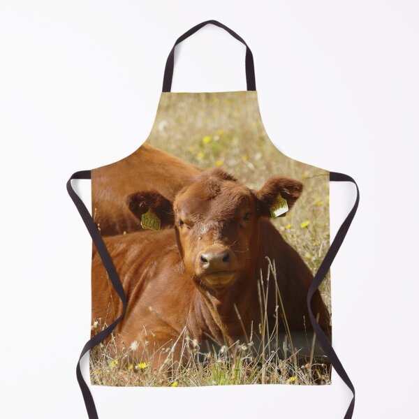Artikelvorschau, Braunes Kalb auf einer blühenden Wiese in der Normandie, Frankreich – Französische Landschaft entworfen und verkauft von pixperienz4u.