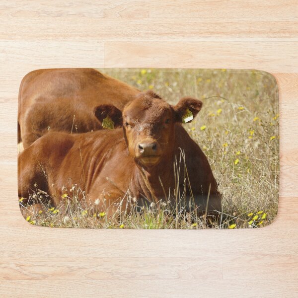 Artikelvorschau, Braunes Kalb auf einer blühenden Wiese in der Normandie, Frankreich – Französische Landschaft entworfen und verkauft von pixperienz4u.