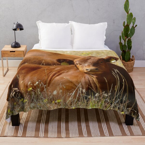 Item preview, Brown Calf in Flowering Meadow, Normandy France – French Countryside Cow designed and sold by pixperienz4u.