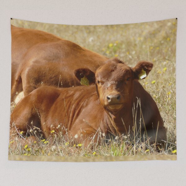 Item preview, Brown Calf in Flowering Meadow, Normandy France – French Countryside Cow designed and sold by pixperienz4u.