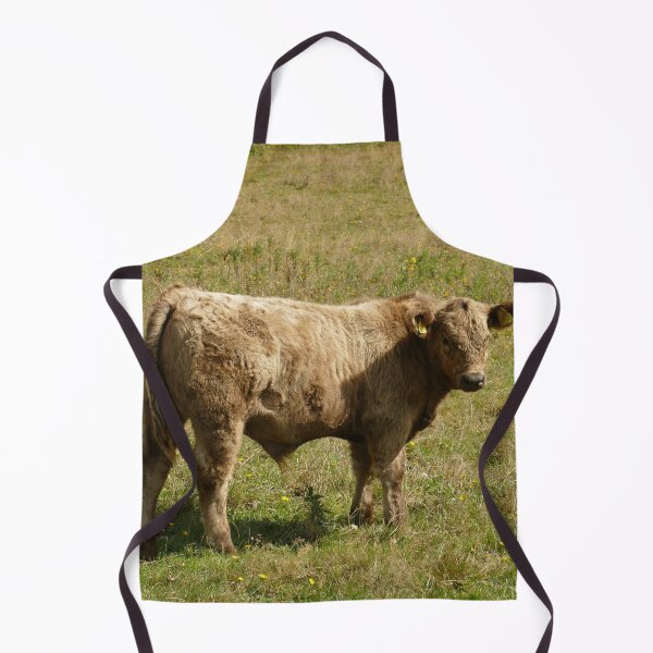 Artikelvorschau, Kalb auf einer grünen Wiese in der Normandie, Frankreich – Französische Landschaft entworfen und verkauft von pixperienz4u.