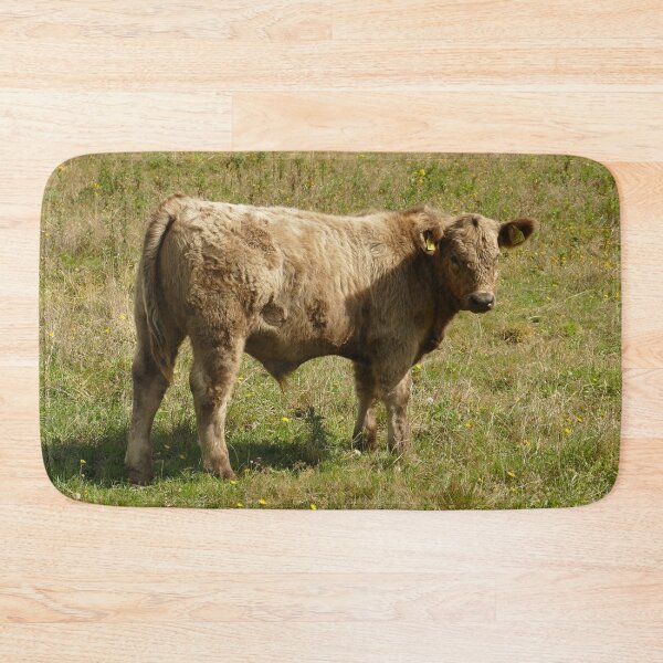 Artikelvorschau, Kalb auf einer grünen Wiese in der Normandie, Frankreich – Französische Landschaft entworfen und verkauft von pixperienz4u.