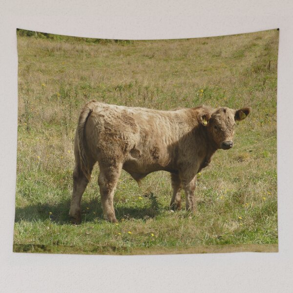 Item preview, Calf in Green Meadow, Normandy France – French Countryside Cow designed and sold by pixperienz4u.