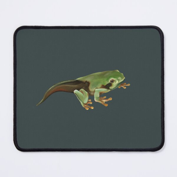 Item preview, Froglet designed and sold by haydiizzle  .