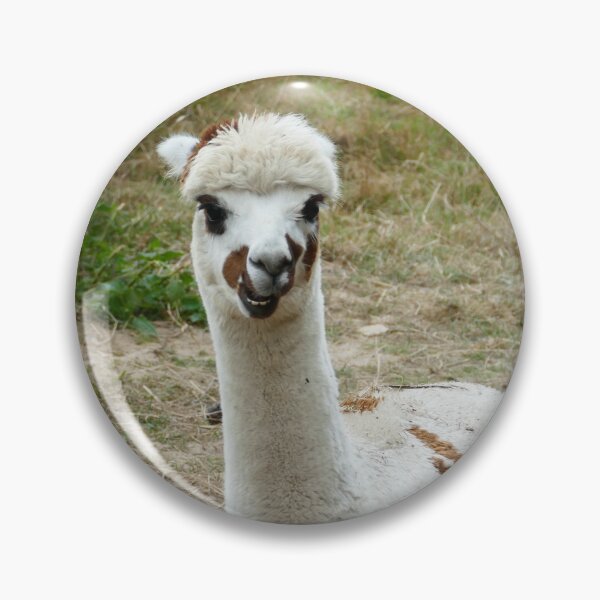 Item preview, White Alpaca with Brown Spots Resting in a Meadow – Cute Farm Animal designed and sold by pixperienz4u.