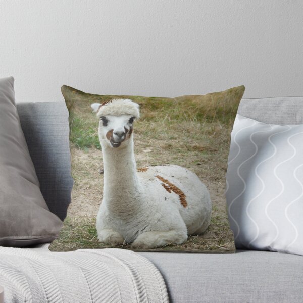 Item preview, White Alpaca with Brown Spots Resting in a Meadow – Cute Farm Animal designed and sold by pixperienz4u.