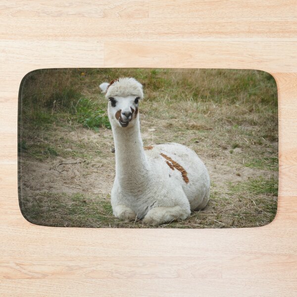Item preview, White Alpaca with Brown Spots Resting in a Meadow – Cute Farm Animal designed and sold by pixperienz4u.