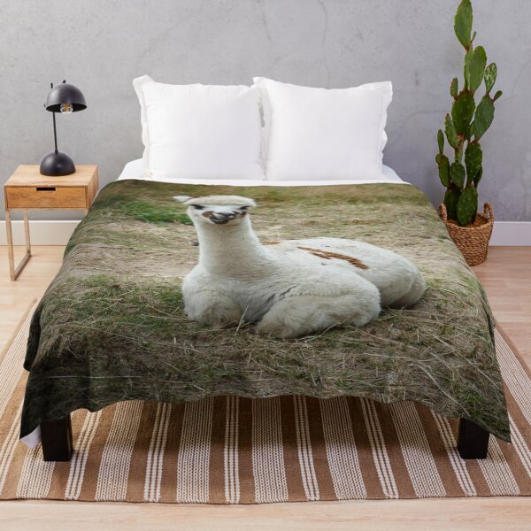 Item preview, White Alpaca with Brown Spots Resting in a Meadow – Cute Farm Animal designed and sold by pixperienz4u.