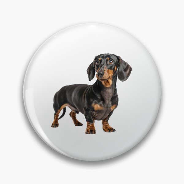 Item preview, Charming dachshund posing designed and sold by MiraCleAI.