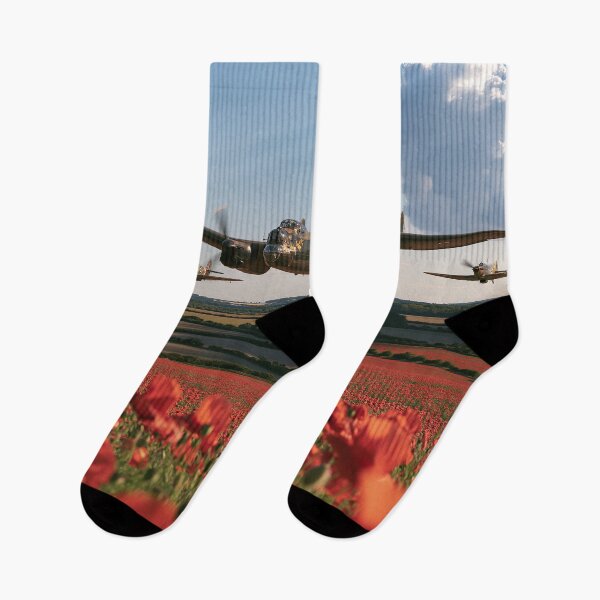 Item preview, Campos de vuelo conmemorativos de la Batalla de Inglaterra designed and sold by Skyframe Aviation.