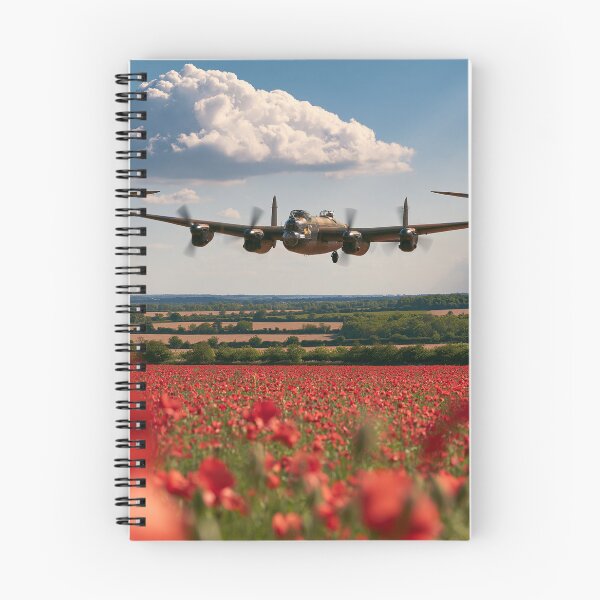 Item preview, Battle Of Britain Memorial Flight Wings Of Remembrance  designed and sold by Skyframe Aviation.